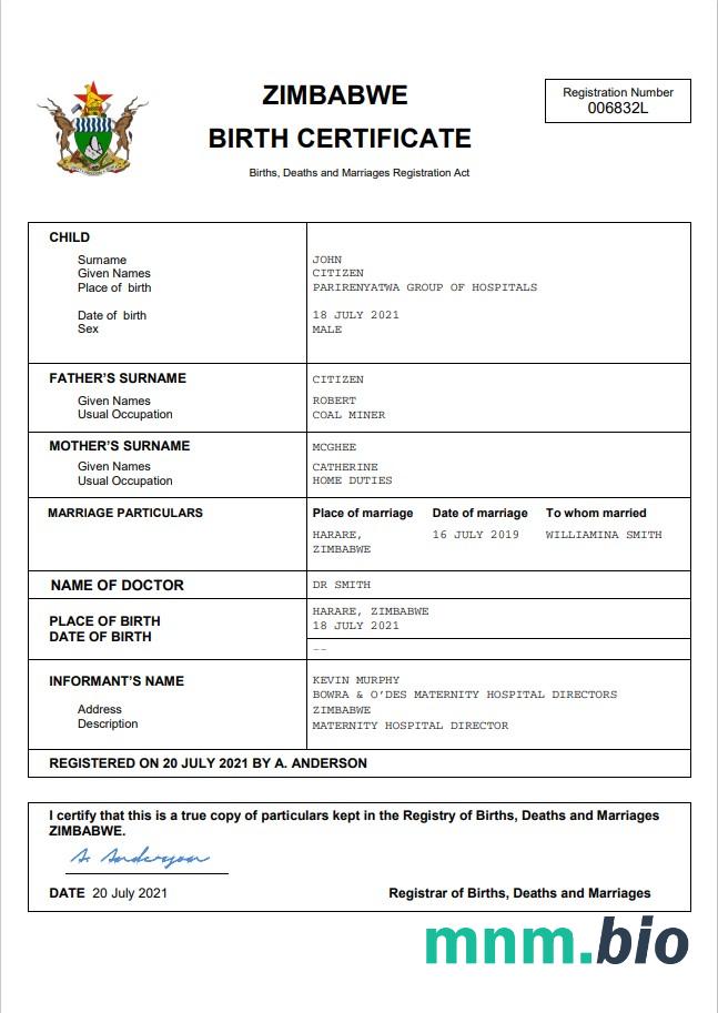 Zimbabwe rekord życiowy narodziny certyfikat Word i PDF szablon